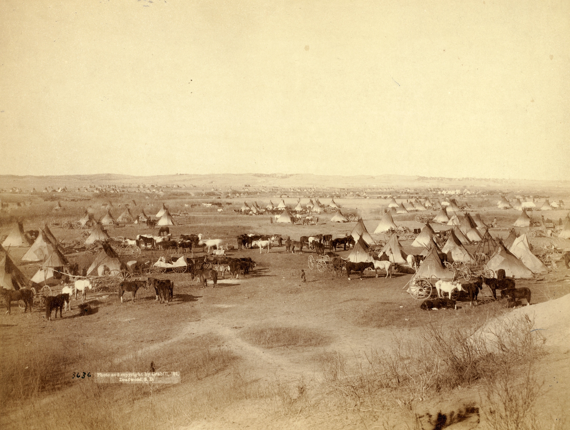 A large camp of Lakota Native Americans on or near the Pine Ridge Indian Reservation, 1891.
