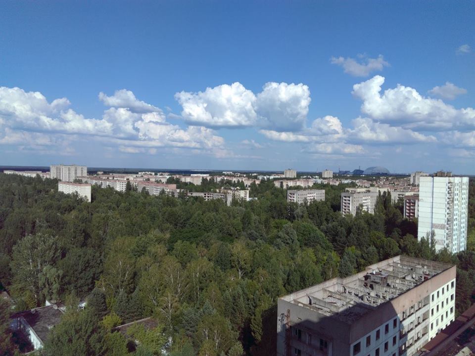 The view from the roof of an apartment block with more forest than buildings.
