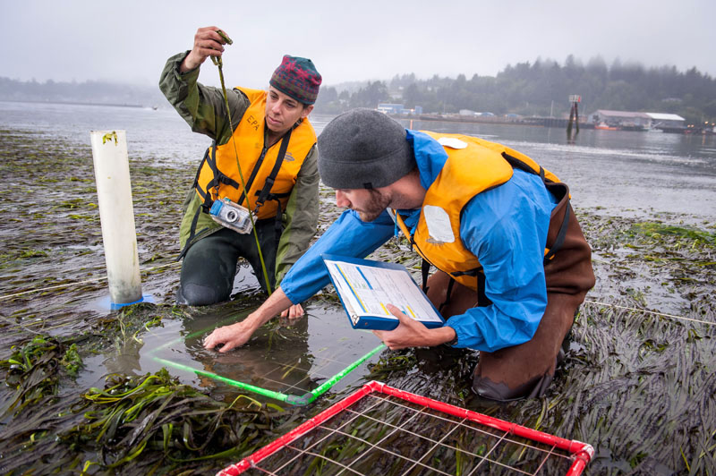 Environmental Protection Agency scientists in 2009 surveying aquatic life.