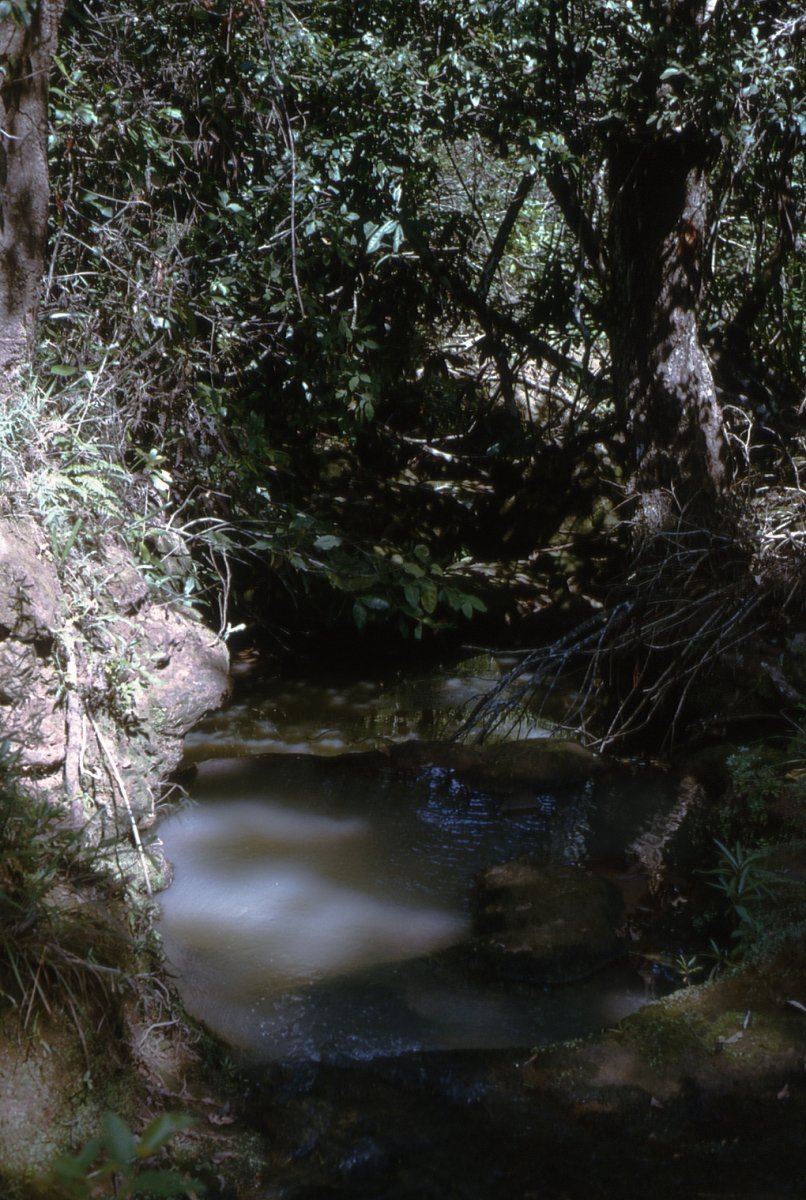A secluded stream near Livingstonia.