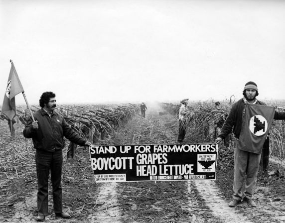 Picketers supporting the grape strike and the United Farm Workers.