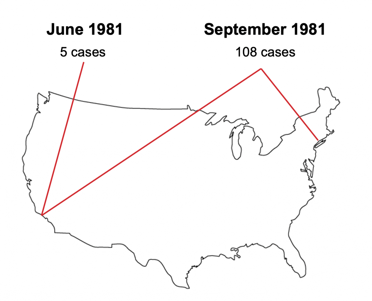 A figure showing reported cases of HIV over the summer of 1981.