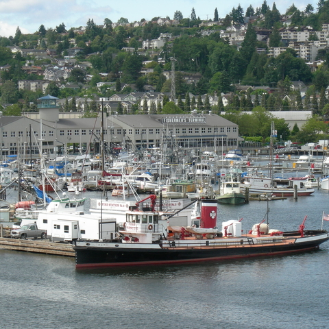 Picture of Fisherman's Terminal in Seattle, WA.