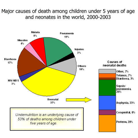 Major Causes of Death