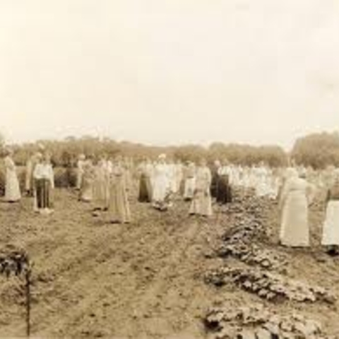 Female patients engaged in agricultural labor at a mental health facility.