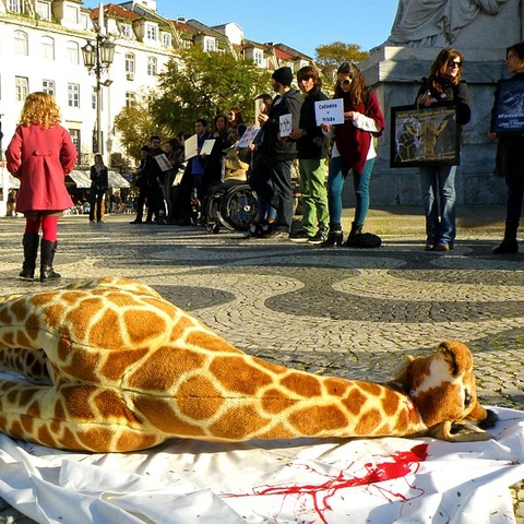 A sit-in in Lisbon, Portugal in 2014.