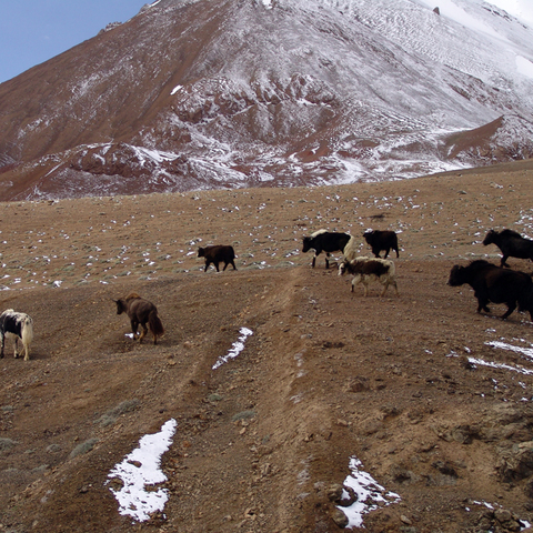 The Pamir Mountains Tajikistan, 2004  