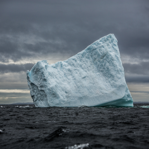 Iceberg, St. Lunaire.
