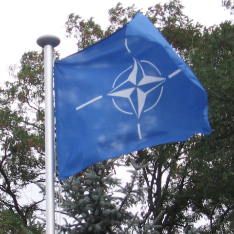 Flag of the North Atlantic Treaty Organization.