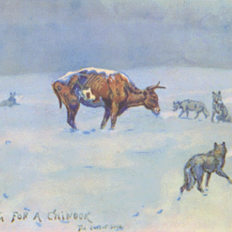 Waiting for a Chinook, by C.M. Russell. Overgrazing and harsh winters were factors that brought an end to the age of the Open Range.