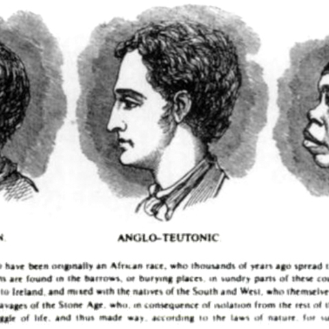 Irish Iberian, Anglo-Teutonic, and Negro Features.