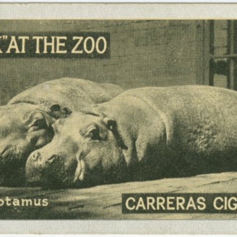 A 1924 advertisement for Kodak cameras.