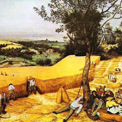 "The Corn Harvest" by Pieter Bruegel the Elder, 1565