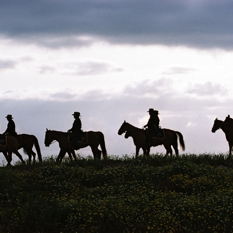 U.S. Border Patrol agents on horseback