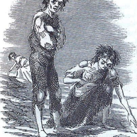 The Great Famine, or Irish Potato Famine, is one historical example of the dangers of monoculture.