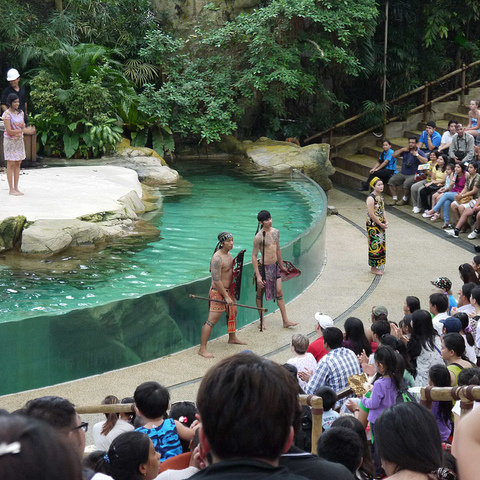 Crowds gather to watch an aquatic show at the Singapore Zoo.