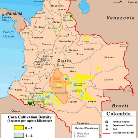 Colombian coca cultivation in 2001.