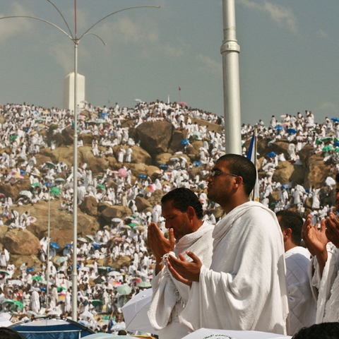 Pilgrims visit Mount Arafat during the 2009 hajj.