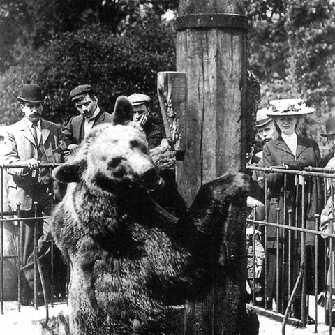The London Zoo’s 'Bear Pit.'