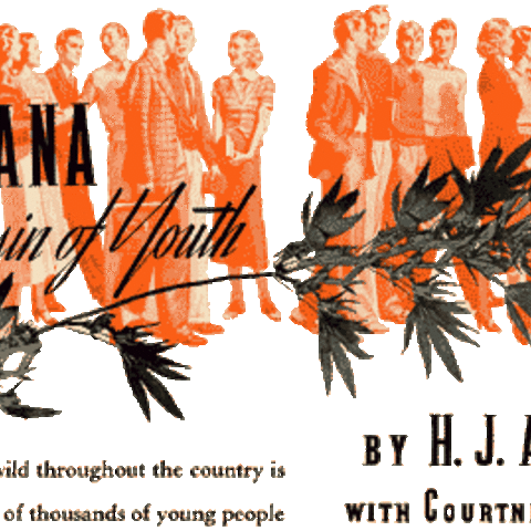 'Marijuana, Assassin of Youth' was originally published in The American Magazine.