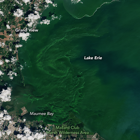 This 2019 NASA image of Lake Erie near Maumee Bay, Ohio.