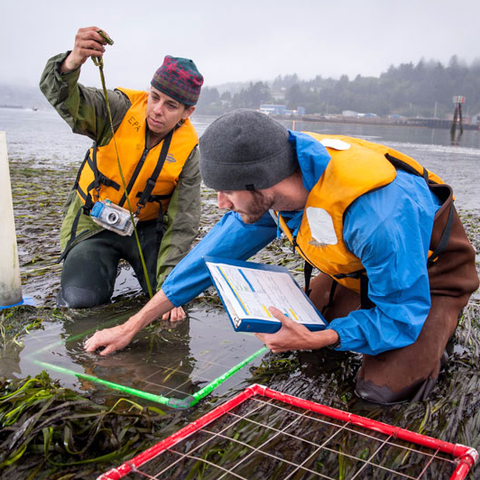 Environmental Protection Agency scientists in 2009 surveying aquatic life.