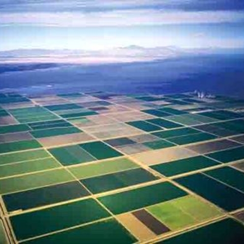 The Colorado River irrigates Southern California’s agricultural Imperial Valley.