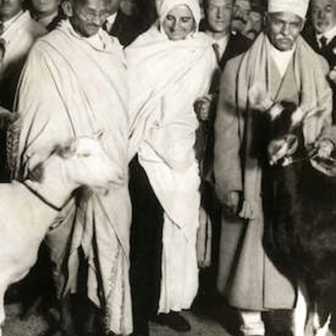 Madan Mohan Malaviya with Gandhi and Madeleine Slade.