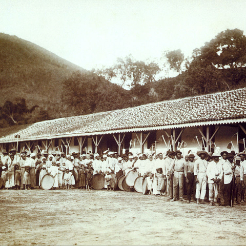 Coffee plantation slaves in Brazil.