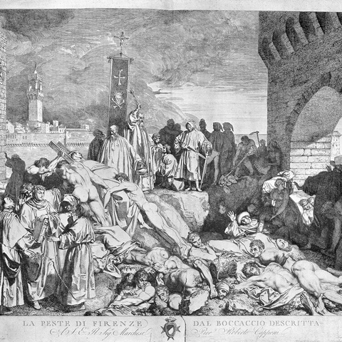 The plague of Florence in 1348, as described in Boccaccio's Decameron.