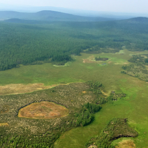 view of the site of the explosion in Tunguska