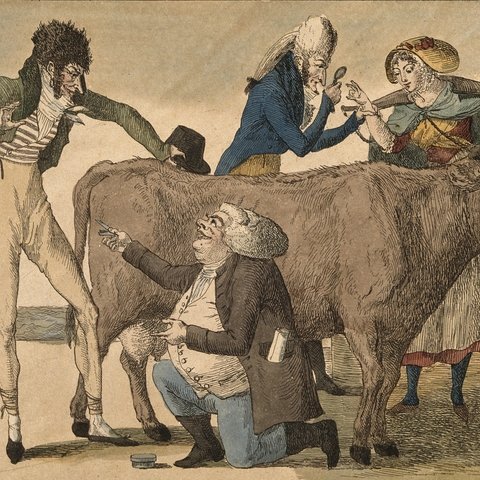 French watercolor etching of a physician examining a milking maid’s cowpox covered hand.