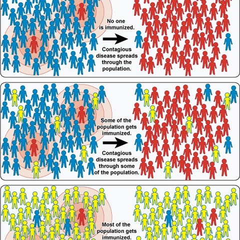 National Institute of Allergy and Infectious Diseases’ 2010 chart illustrates how vaccinations can prevent disease outbreaks.