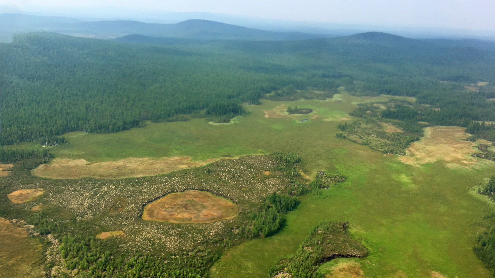 view of the site of the explosion in Tunguska