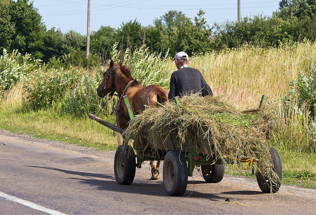A carriage transpports hay near Oblast, Ukraine in 2012.