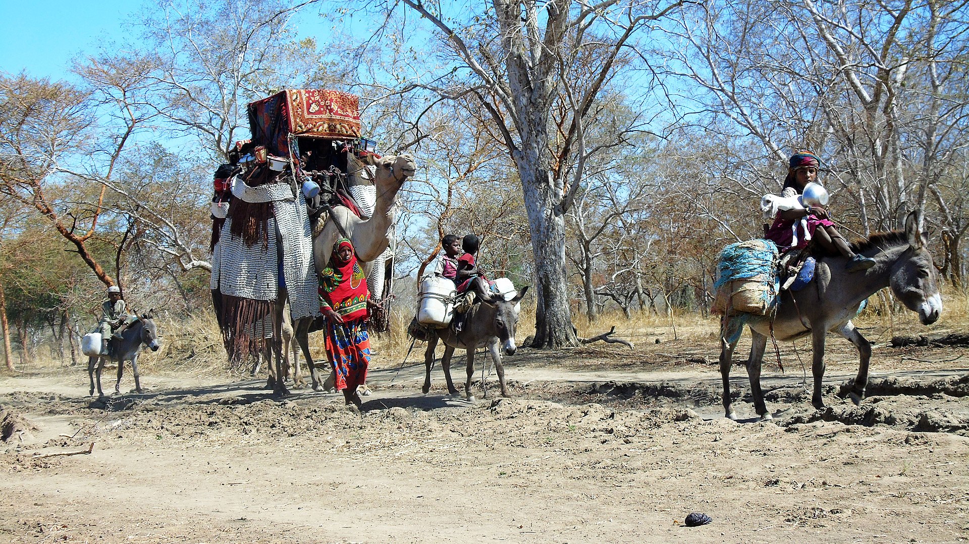 A caravan of nomads in Chad, 2020.