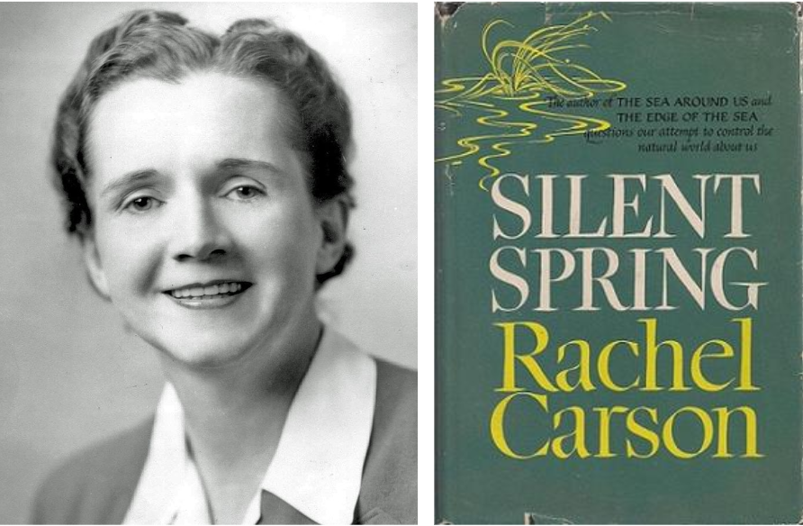 Rachel Carson as an employee for the U.S. Fish and Wildlife Service (left). Cover of the 1962, 1st edition of Silent Spring (right),