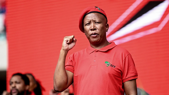 EFF leader, Julius Malema.