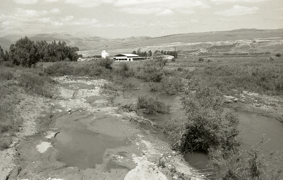 The Jordan Valley, 1964.