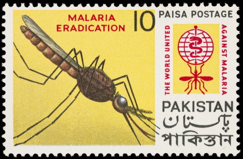 A 1962 Pakistani postage stamp promoting malaria eradication program