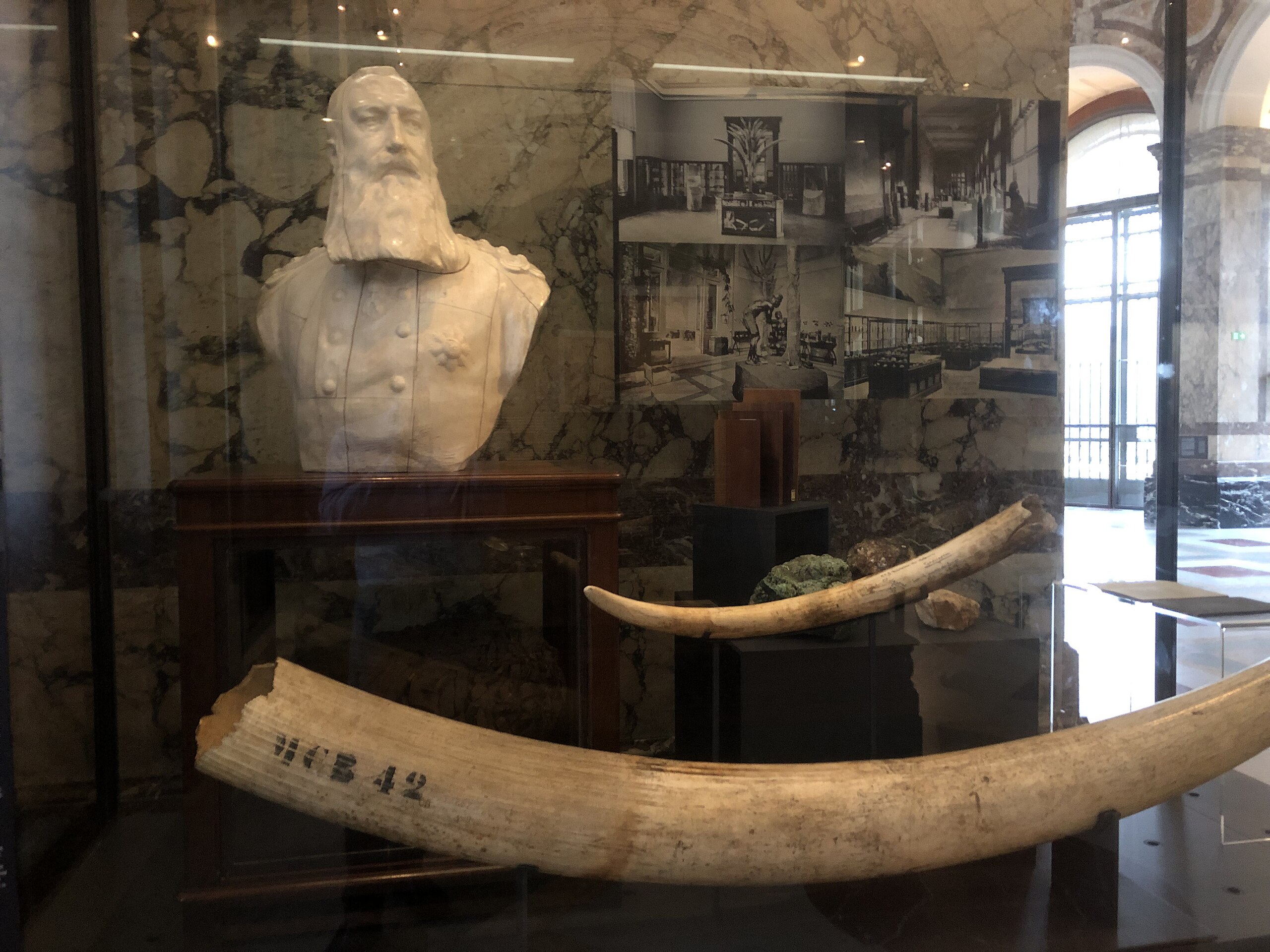 Background: Bust of Leopold II, King of the Belgians and sovereign / owner of the "Congo Free State". Foreground: Tusks of elephants hunted in the "Congo Free State".