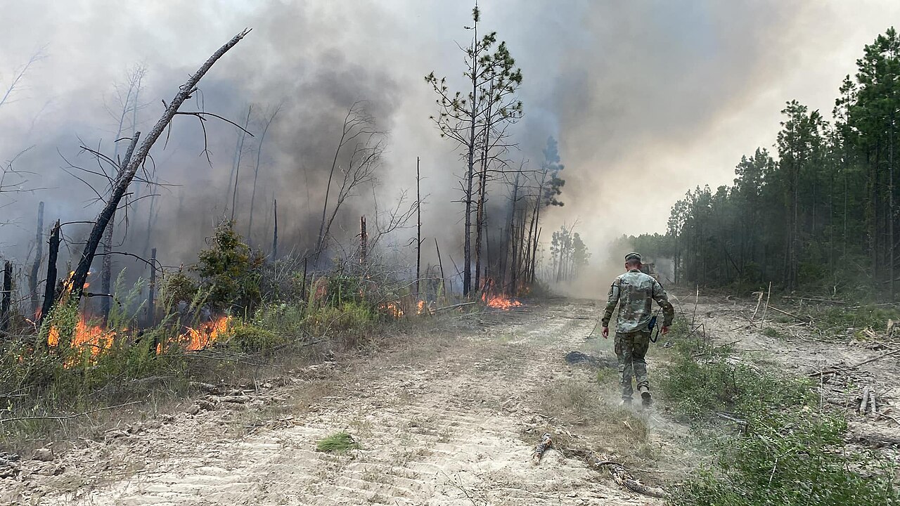 Louisiana National Guard Wildfire response used a firebreak to separate a burning forest fire from new fuel. August 25, 2023, Photo from the Louisiana National Guard.
