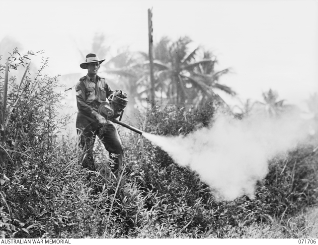 An Australian soldier using a dusting spray on a mosquito infested area near the camp, 1944.