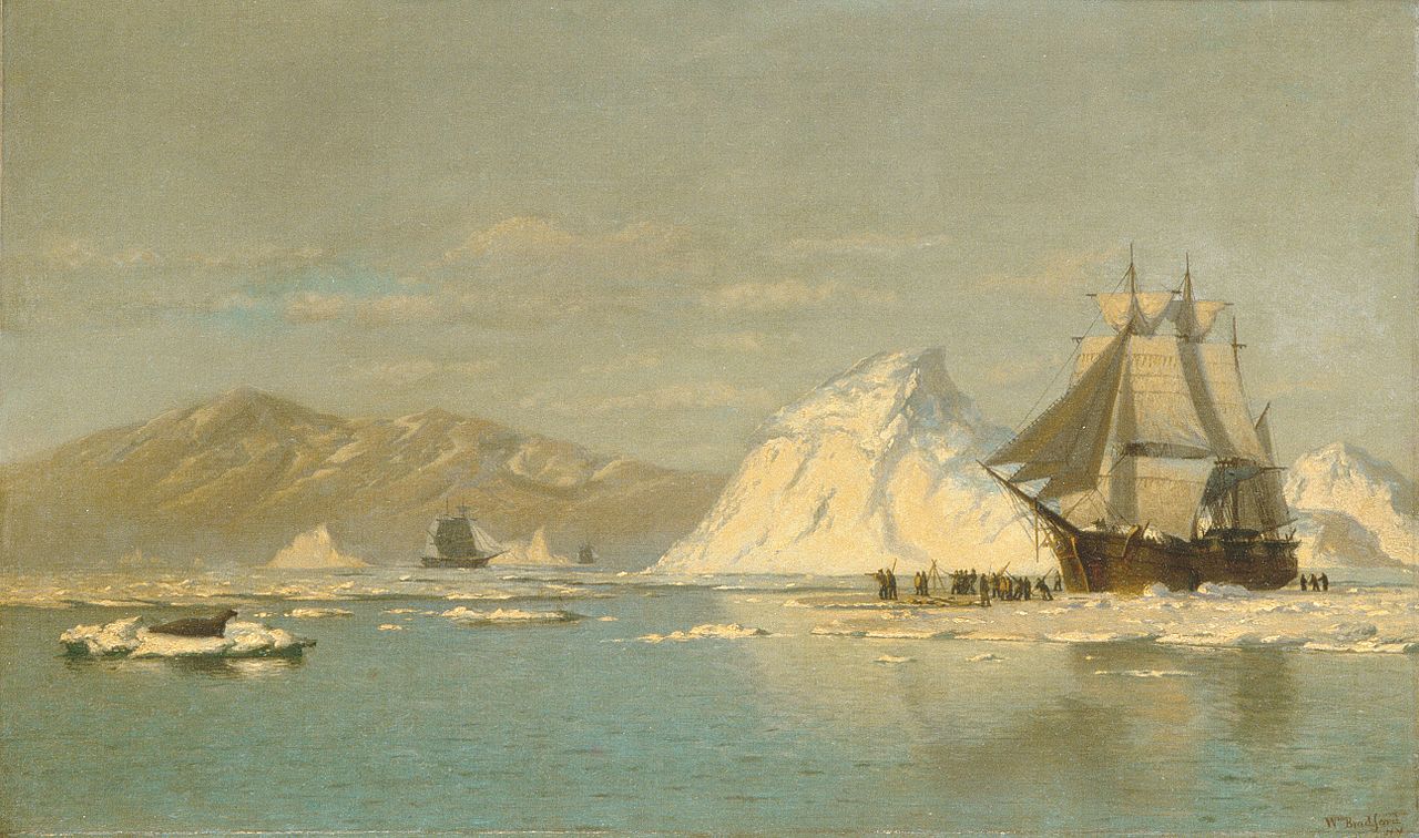 Off Greenland—Whaler Seeking Open Water painting by William Bradford, ca. nineteenth-century. 