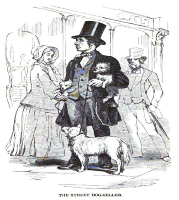 A smartly dressed street seller carries a few varieties of dogs to entice an array of potential consumers. He haunts a fashionable part of London in the hopes of attracting affluent clientele. Henry Mayhew, London Labour and the London Poor, Vol. 2 (London: Griffin and Bohn, 1851), 46.