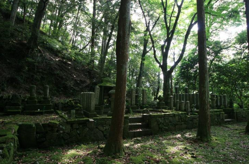 The Graves at Taineiji. Photograph by Thomas Conlan