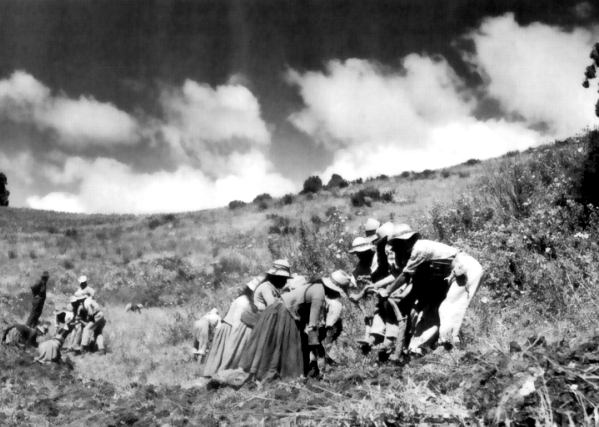 Farmers in the Peruvian Sierra, 1940.