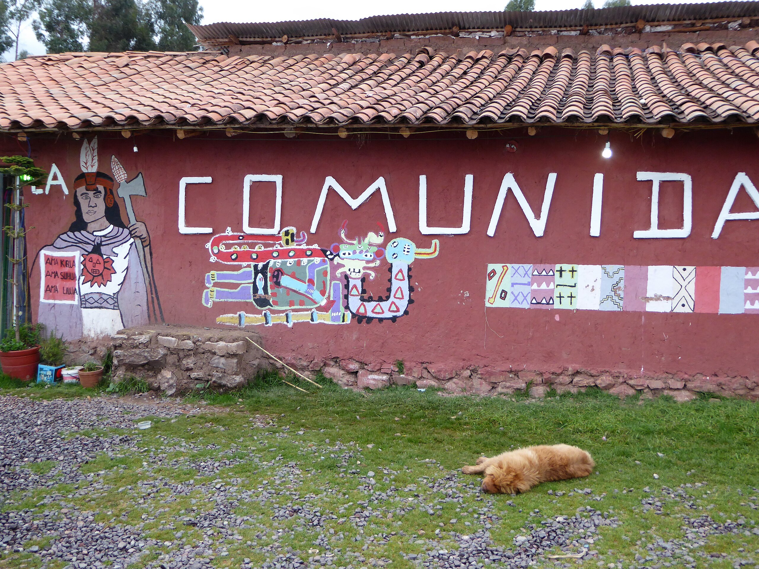 An alpaca farm near Puka Pukara in Peru, 2018. 