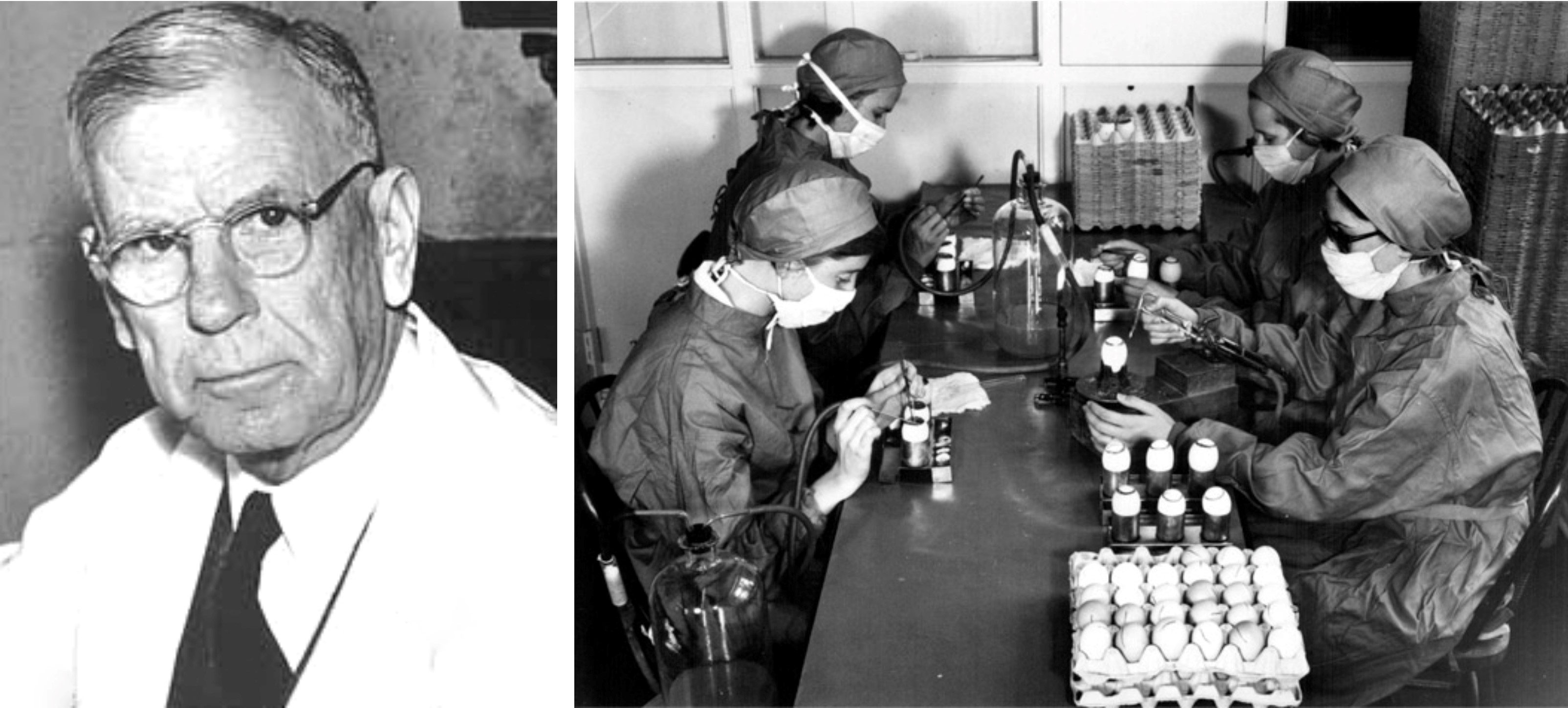 On the left, Dr. Ernest Goodpasture. On the right, preparation of influenza vaccine in Connaught Laboratories.