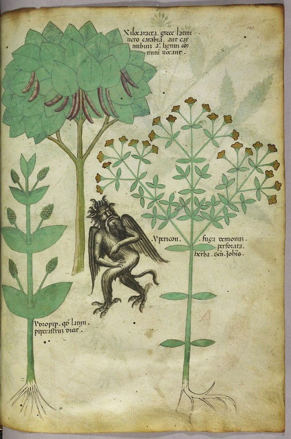 “Plants and a demon: the herb Ypericon, supposed to repel demons” from Tractatus de Herbis, BL Sloane 4016 (ca. 1440). Taken from a treatise on the properties and uses of herbs, this page shows the herb Ypericon, and how it may be used as a method of repelling demons.